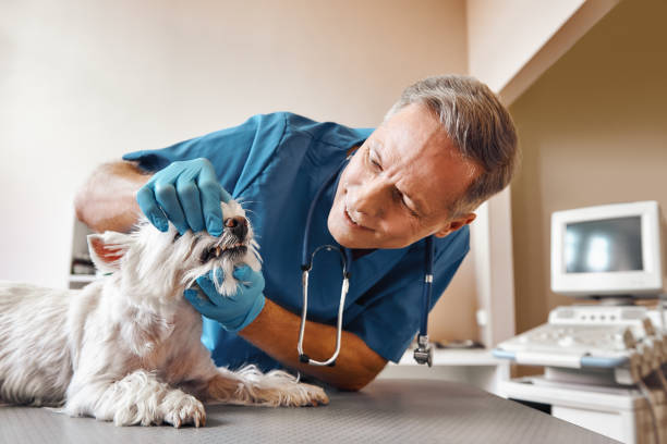 Best Knocked-Out Tooth (Avulsed Tooth) Treatment in Jasper, GA